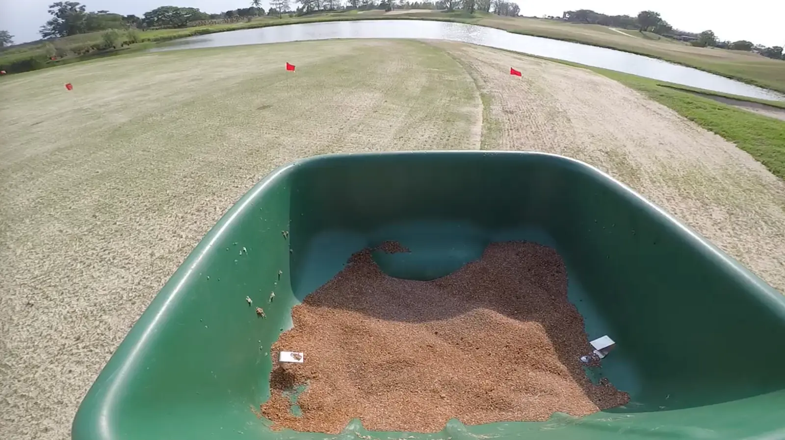 Close up of a fertiliser spreader applying fertiliser to a golf course green