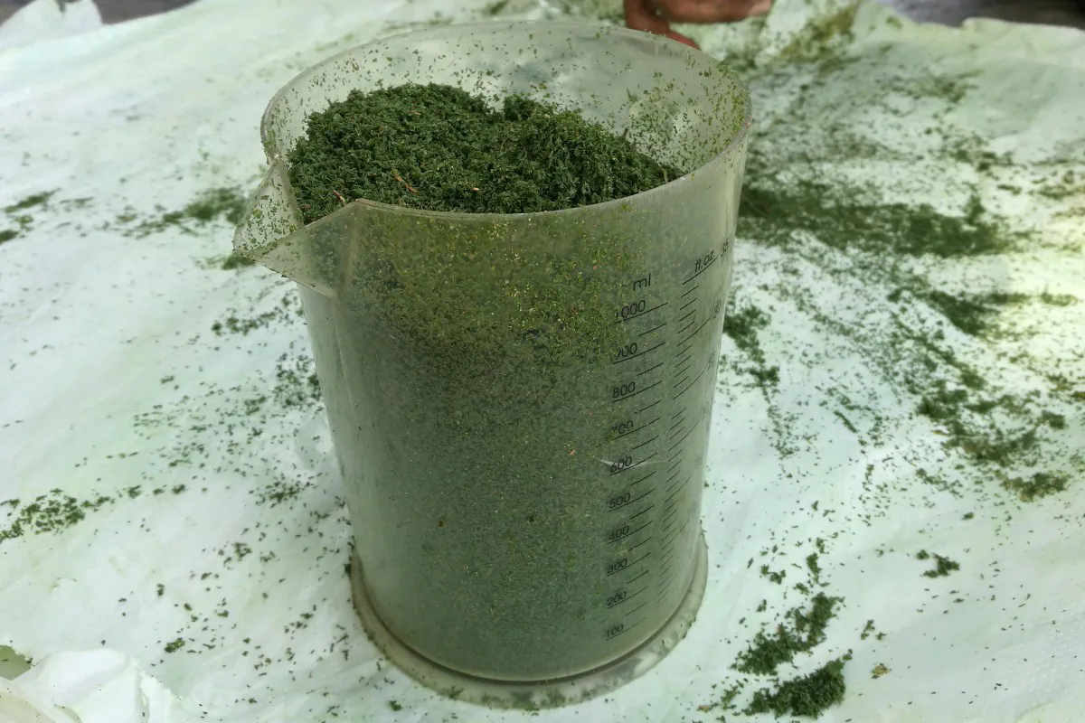 ClipVol clipping collection and measurement of bermudagrass couch greens