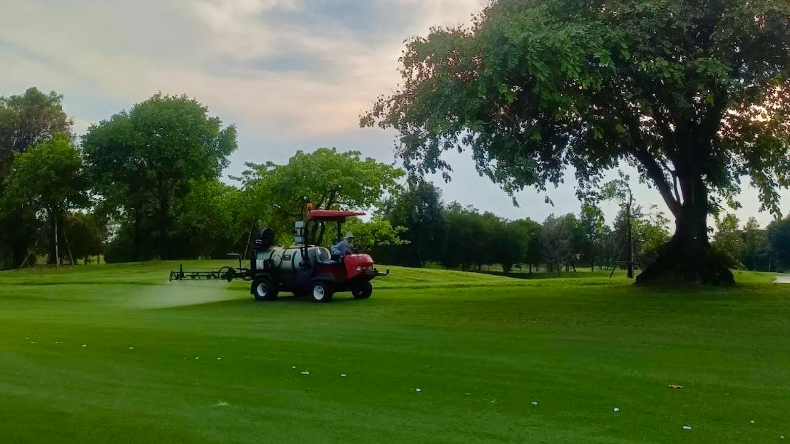 Foliar spraying nitrogen fertiliser on fairways