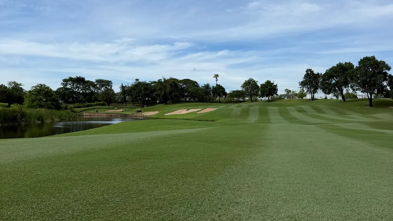 Close up of a bermudagrass fairway in Thailand