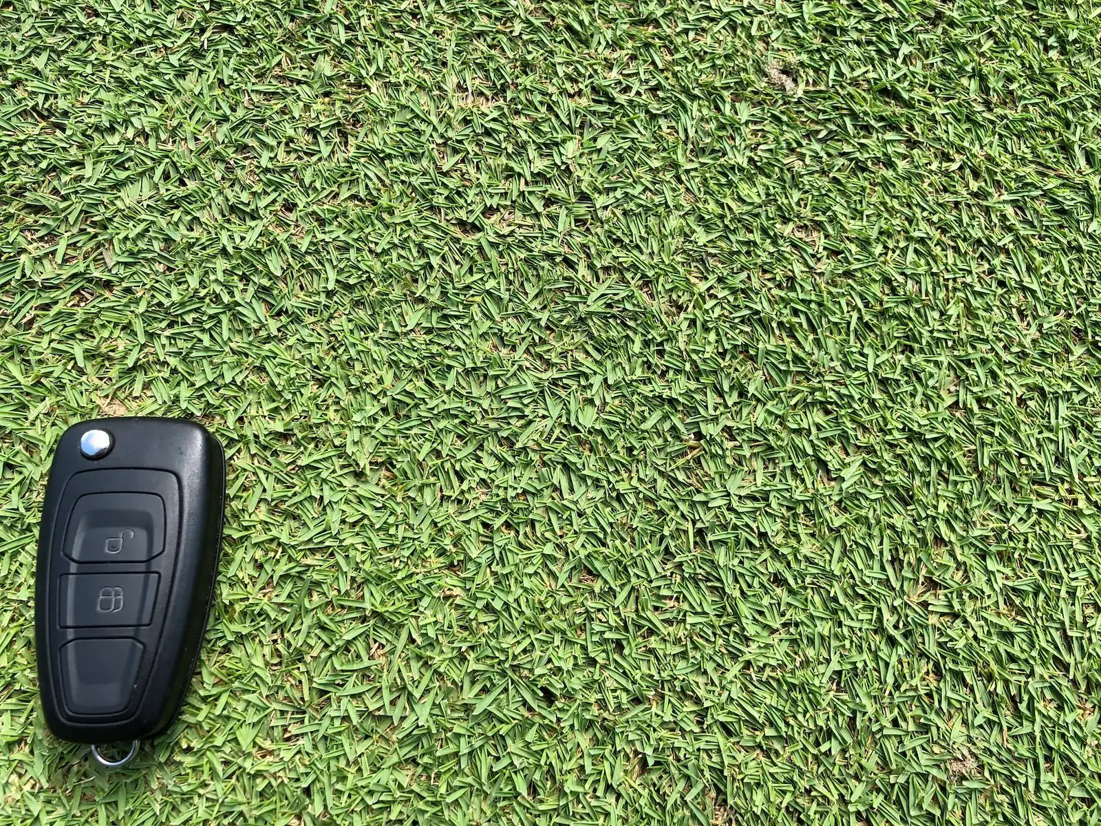 Close up of a bermudagrass golf green surface
