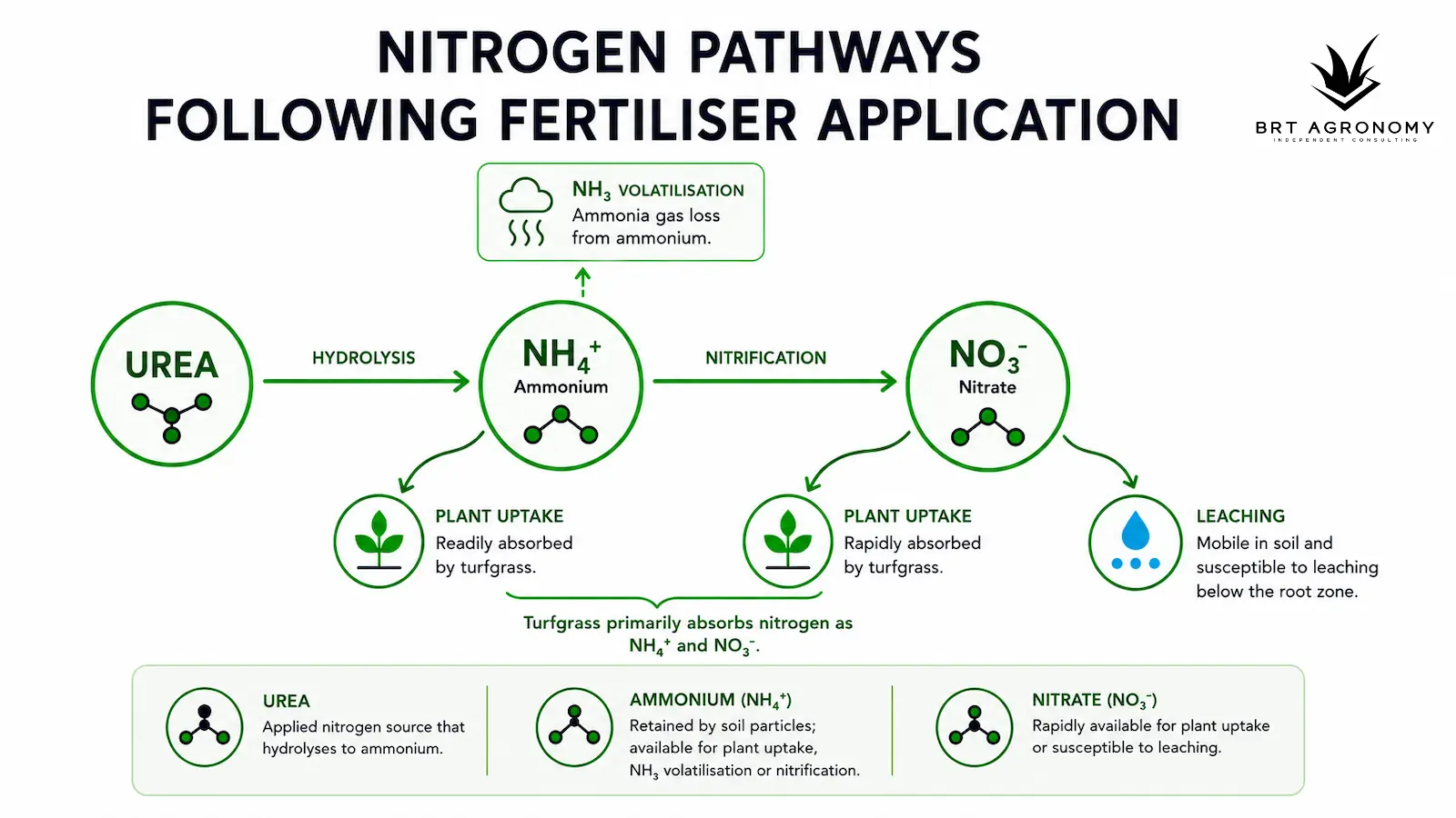 Nitrogen pathway following fertiliser application