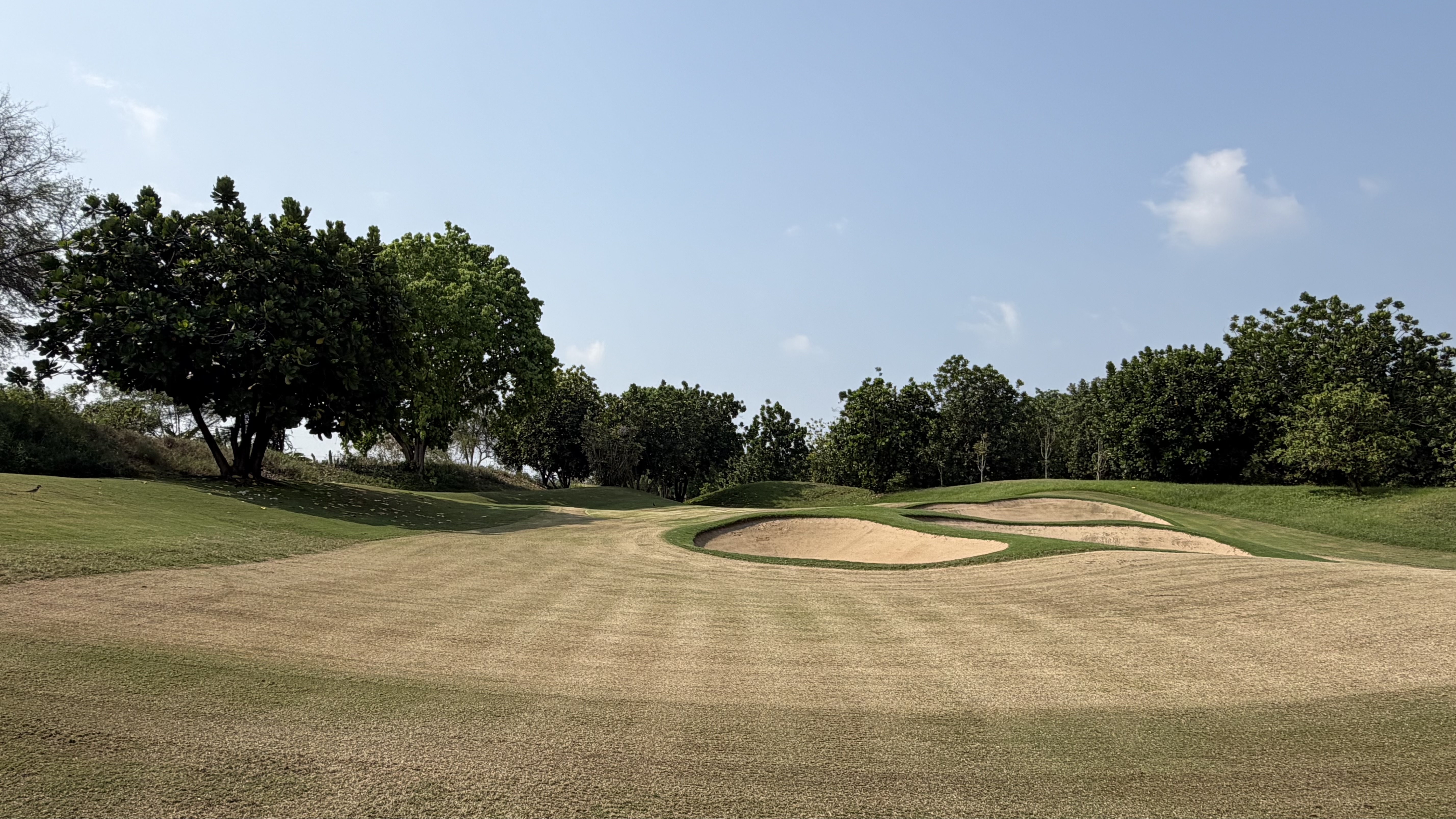 Topdressed and renovated golf course approaches around the green