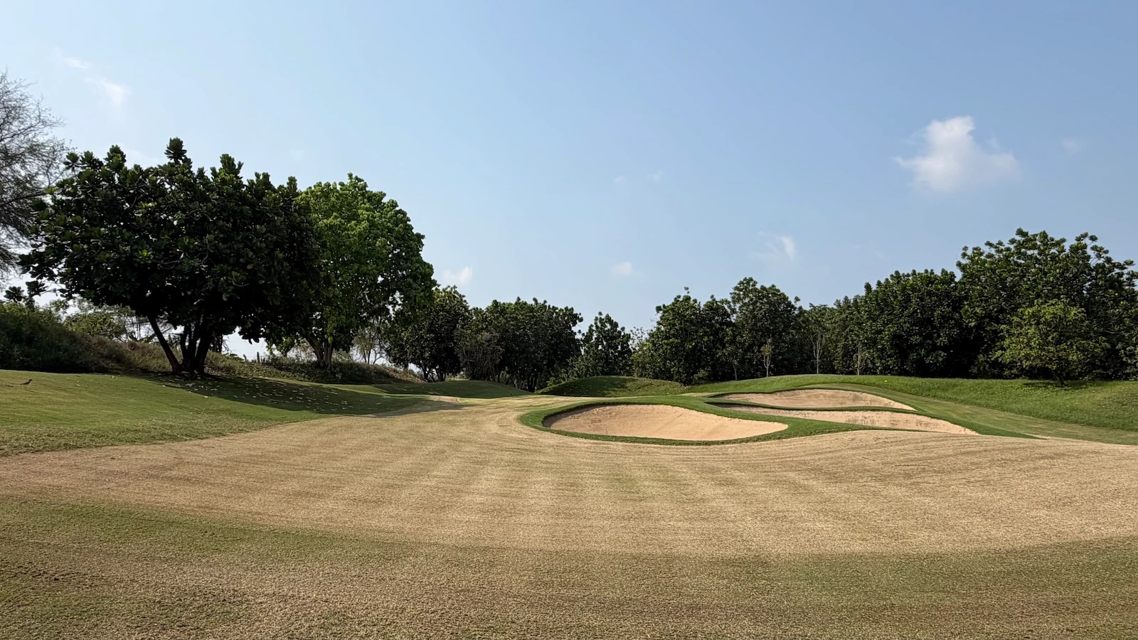 Topdressed and renovated golf course approaches around the green