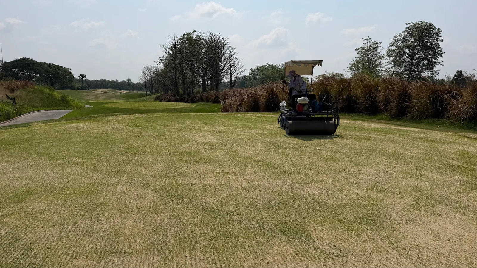 Rolling the tees at Nikanti Golf Club, Thailand