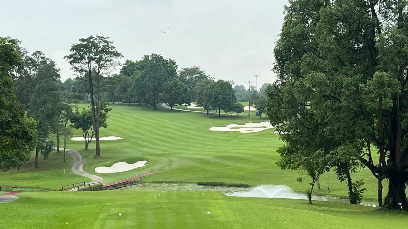 The 9th hole on the Bukit Course, looking down the fairway at Singapore Island Country Club.