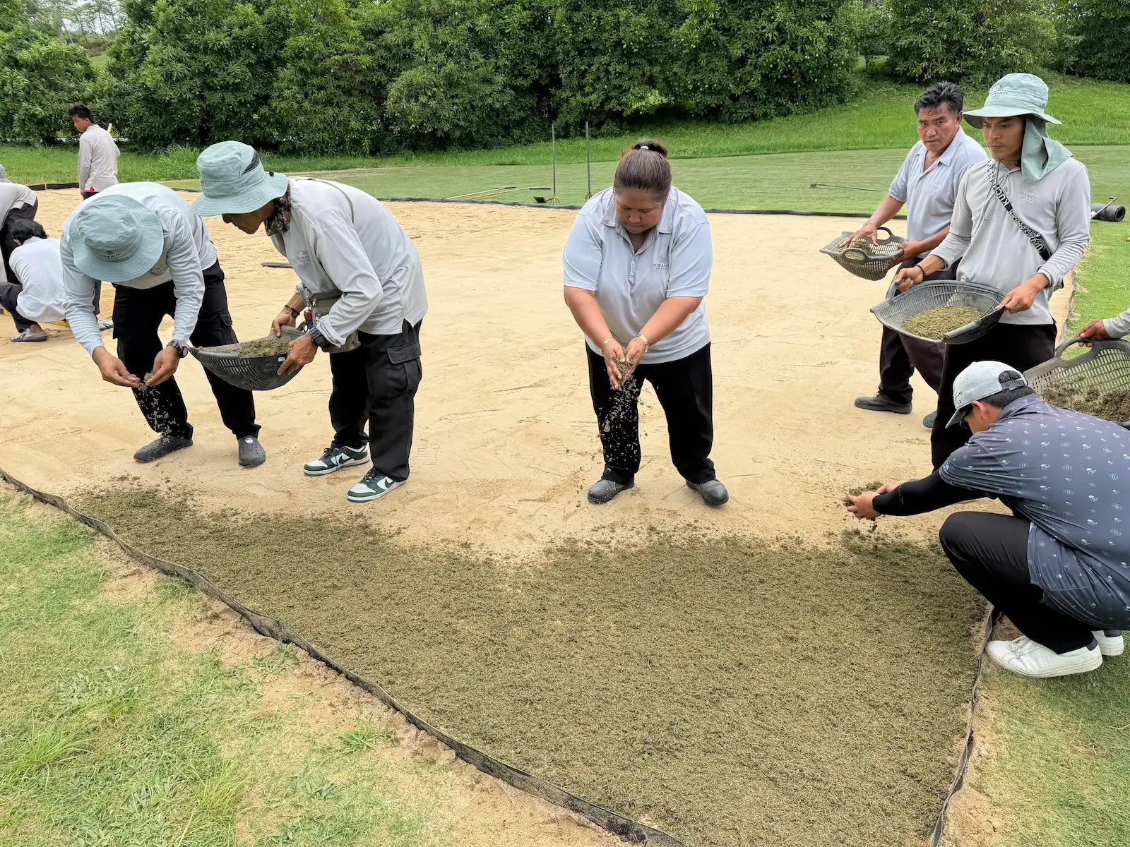 Planting a TifEagle nursery green with stolons in Thailand