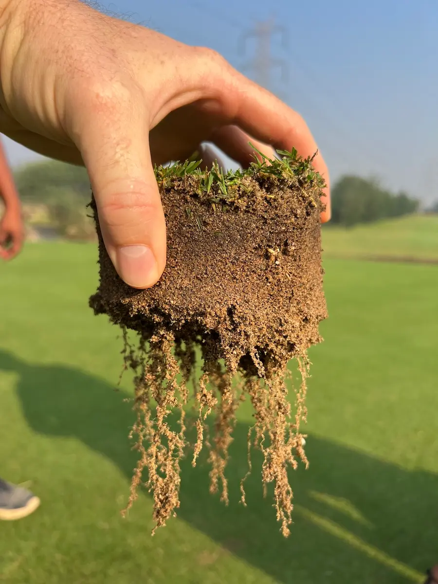A plug of turf with roots hanging out the bottom