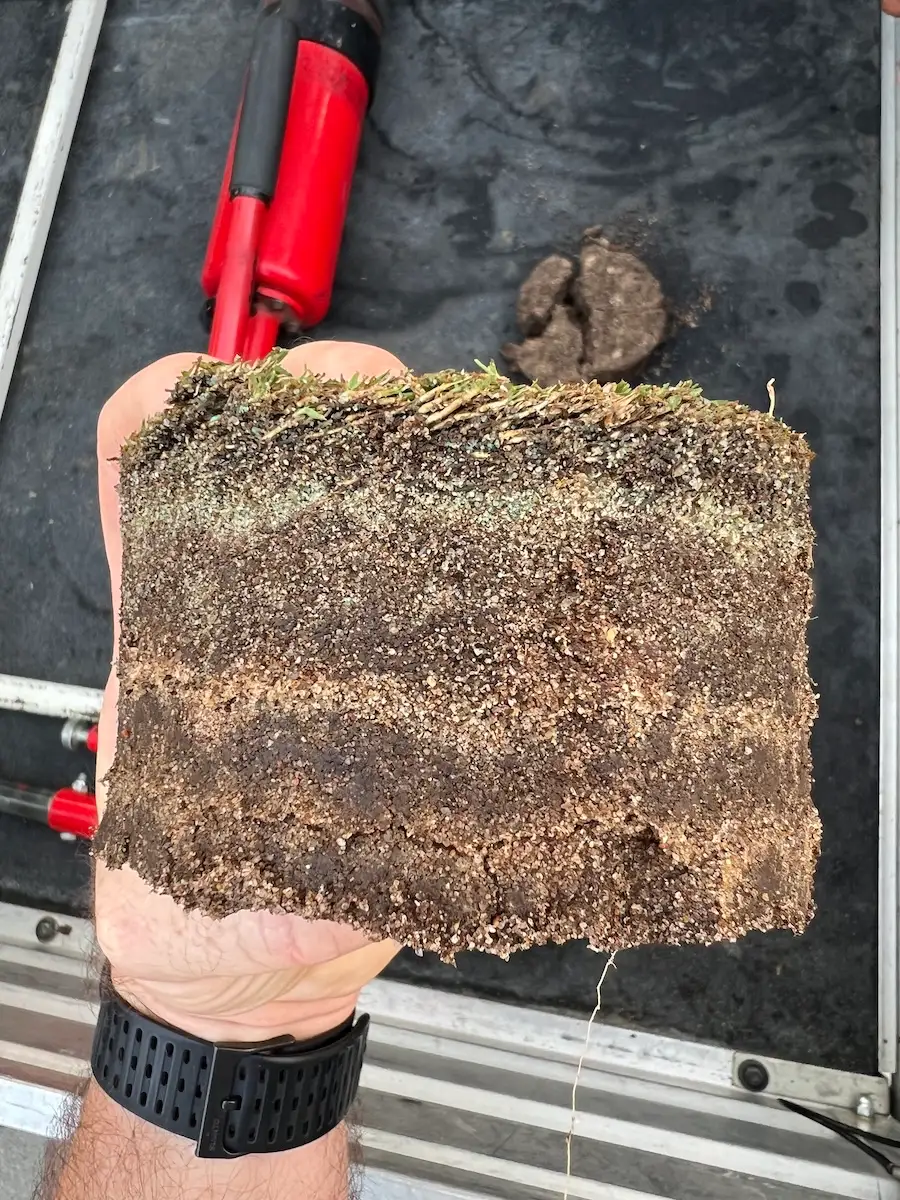 A plug from a golf putting green clearly showing layering through the soil profile.