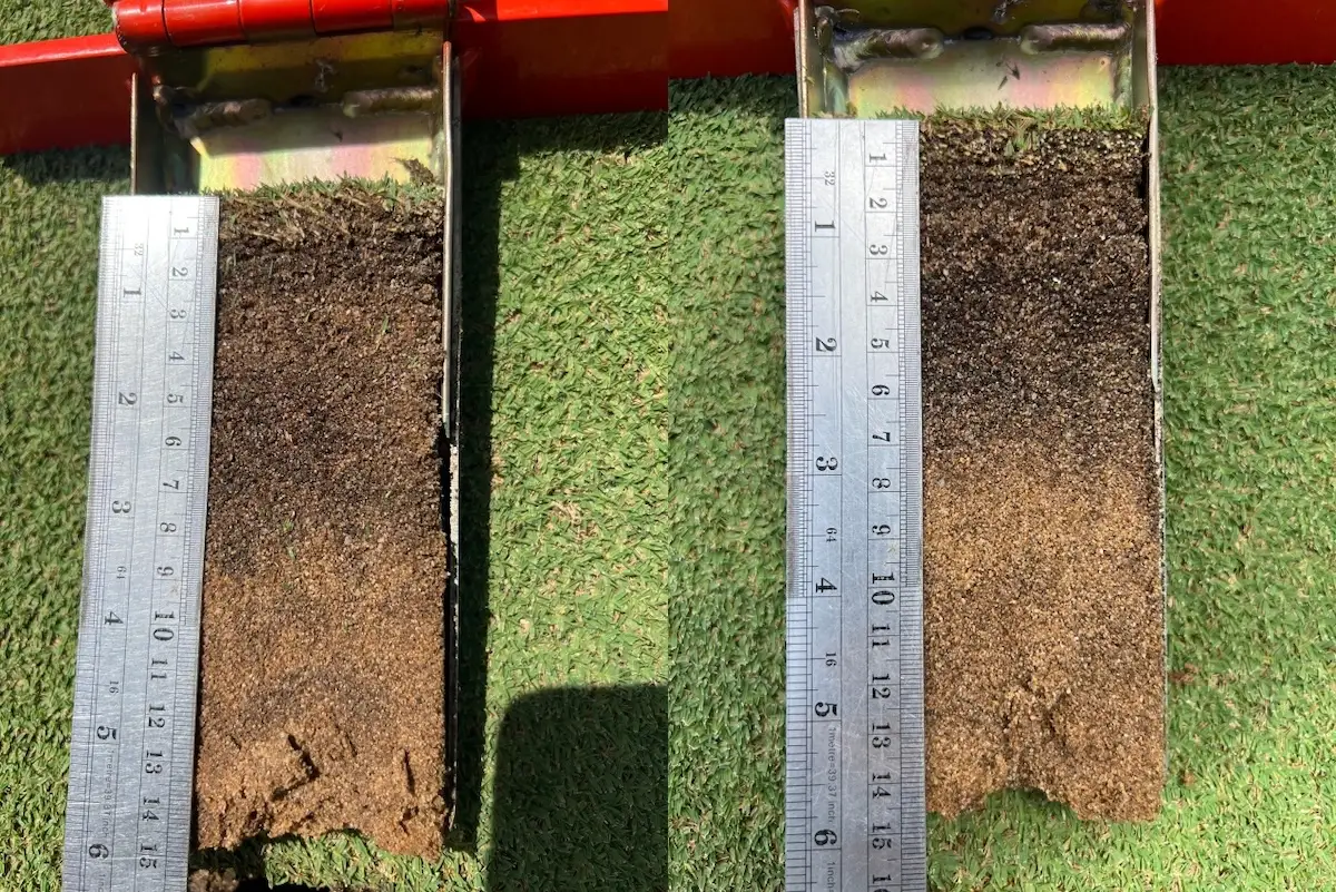 Two golf green sand profile samples side by side for comparison