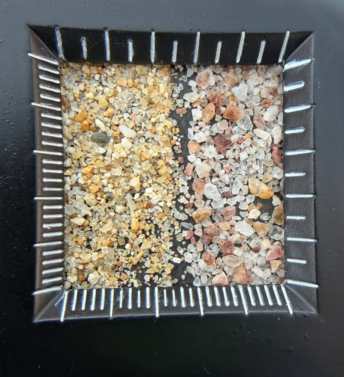 Sand particle comparison viewed under a macroscope.