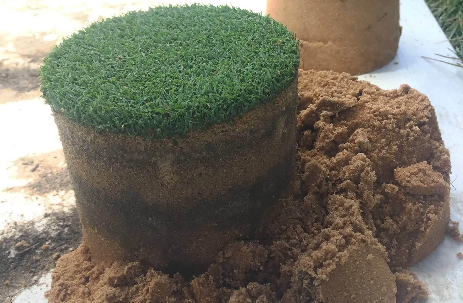 A close up of a golf green soil profile plug with evident layering.