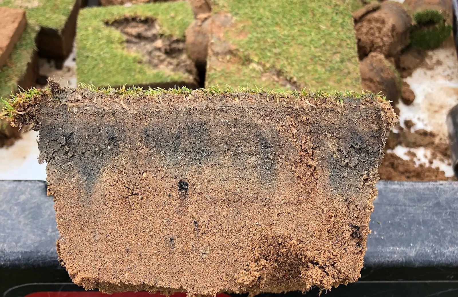 A close up of a golf green soil profile with layering