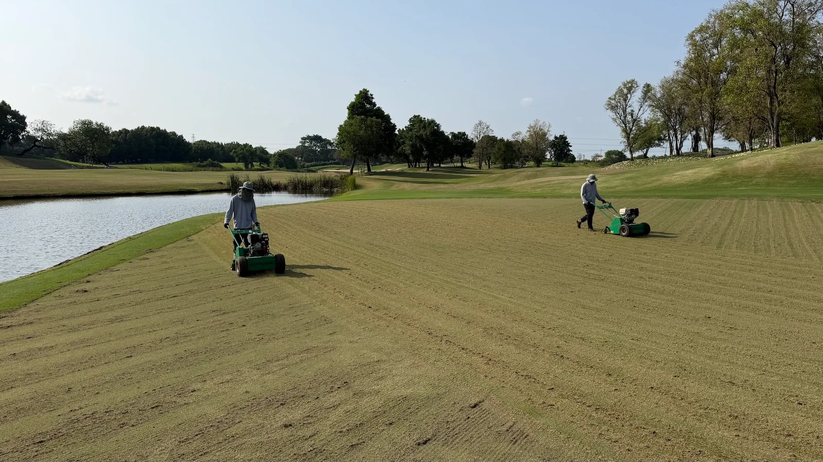 Graden scarifying a golf green