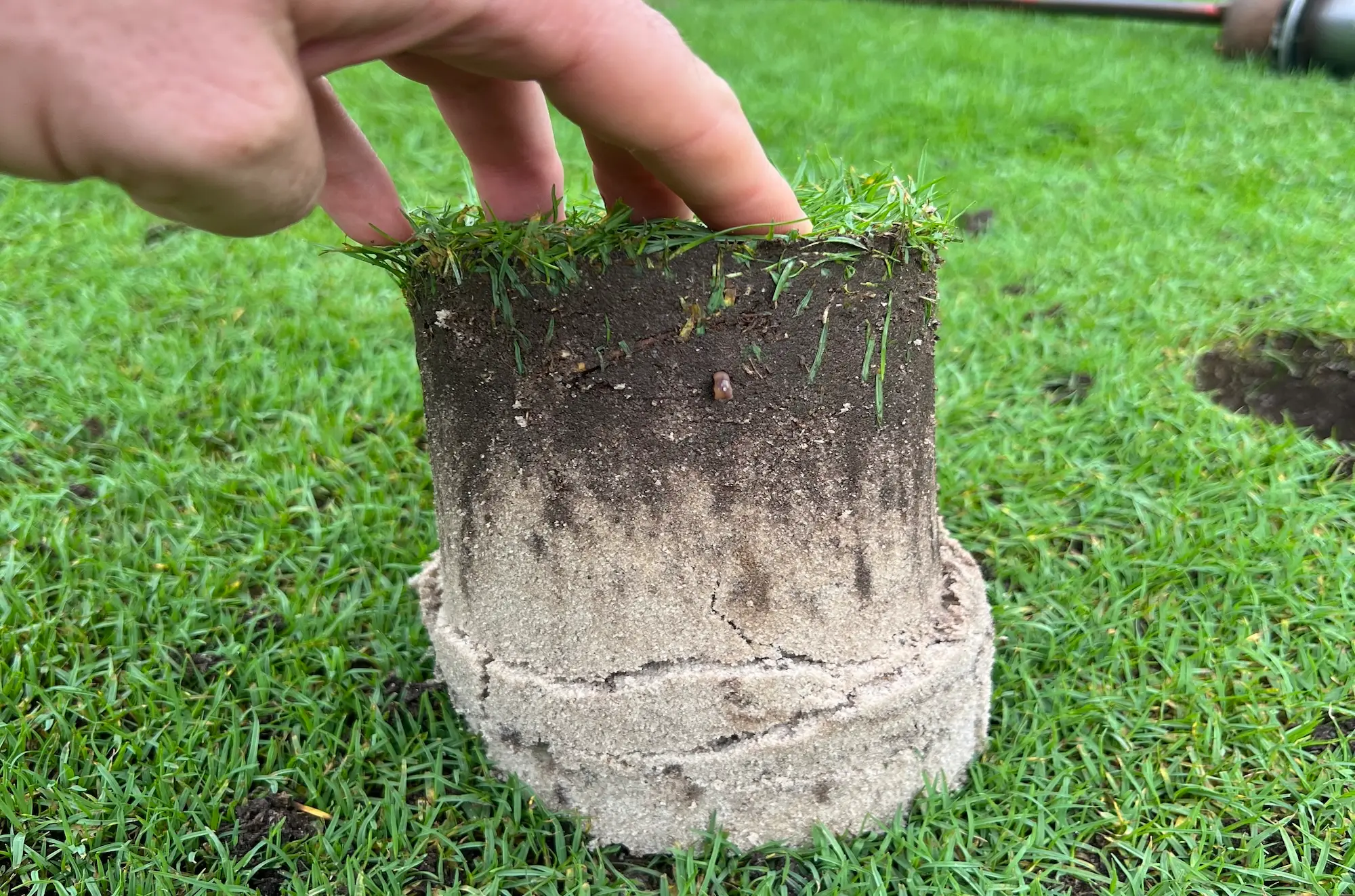 A fairway soil profile with heavy organic matter