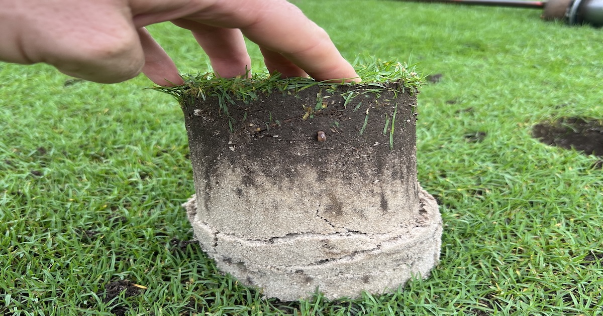 Why soil and water testing should lead your agronomic program share image