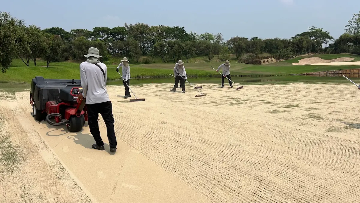A golf course green being aerated after topdressing.