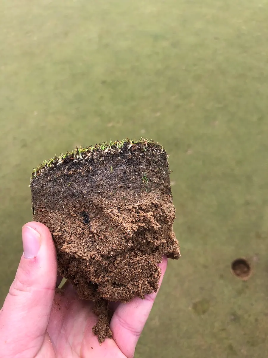 A soil plug showing a problematic golf green soil profile