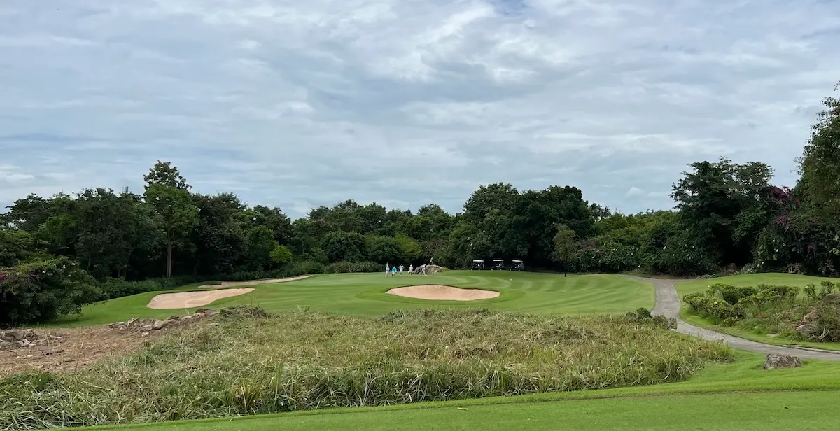 A golf course green surrounded by jungle.