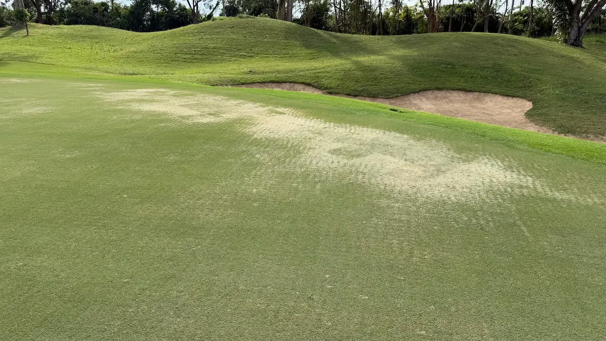 A golf course green with thin turf in Asia