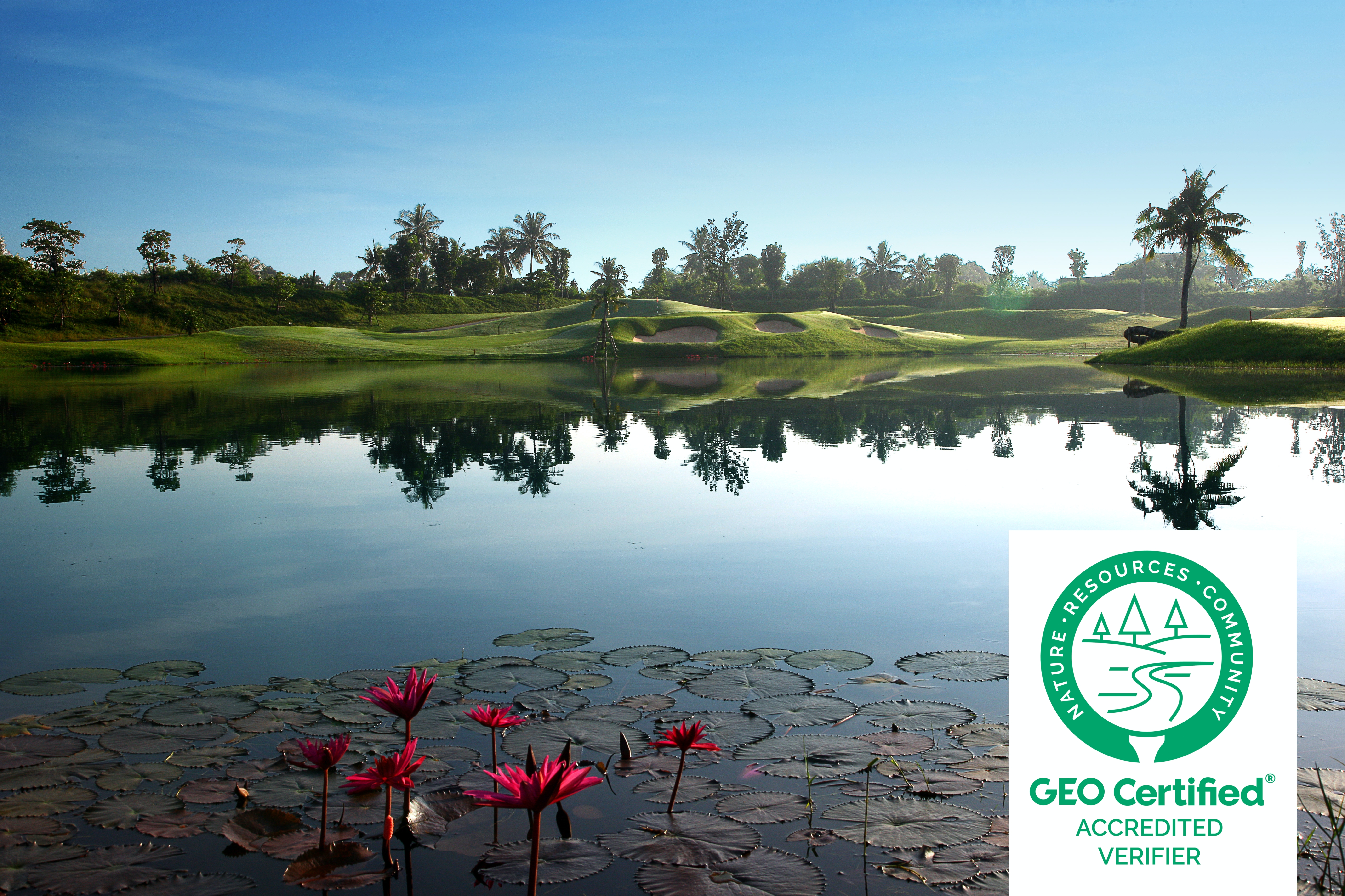 lotus on lake at Nikanti golf club