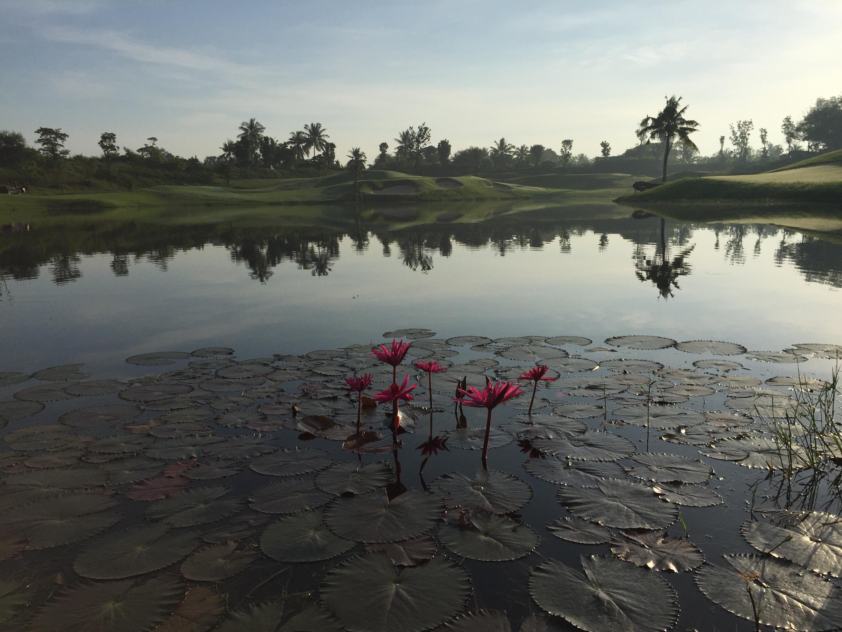 Golf course sustainability services